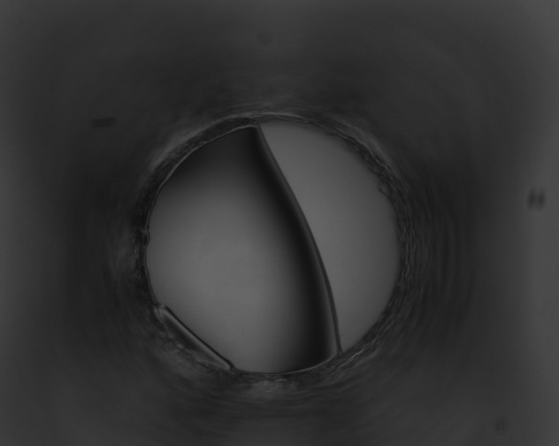 X0000093101160200710031453