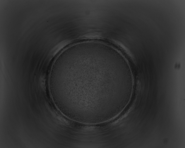 X0000093101162200710031453