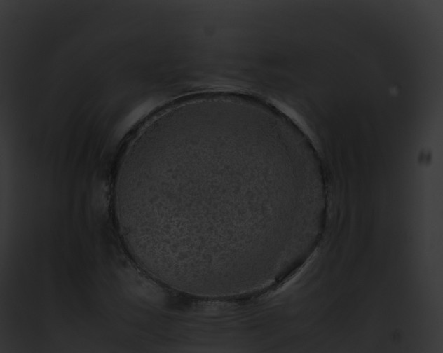 X0000093101163200710031453