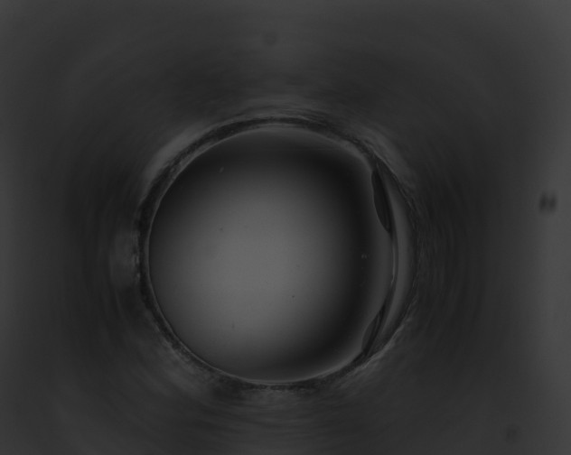 X0000093101164200710031453