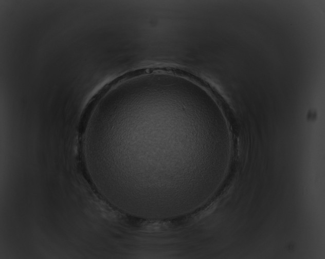 X0000093101165200710031453