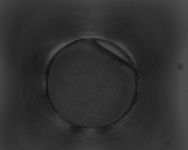 X0000093101167200710031453