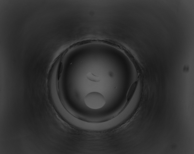 X0000093101168200710031453