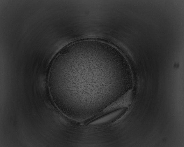 X0000093101170200710031453