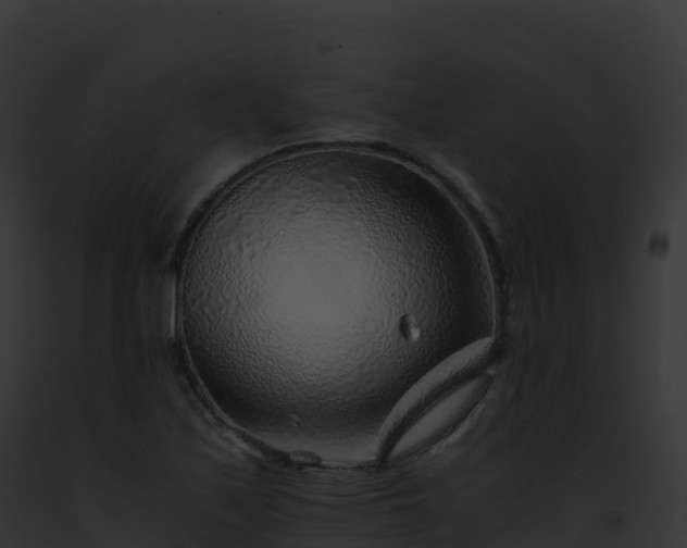 X0000093101171200710031453