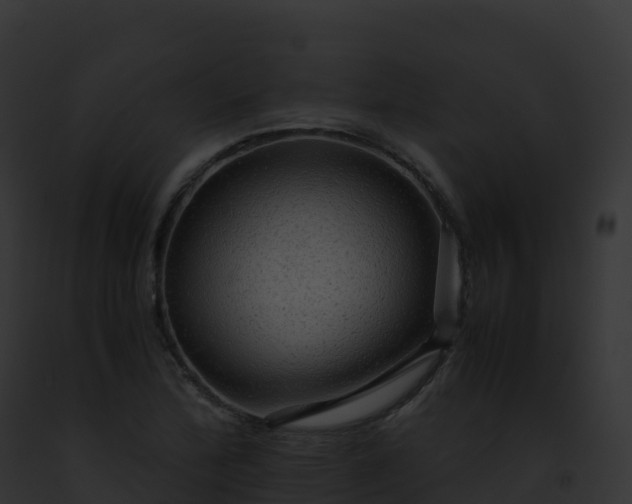 X0000093101172200710031453