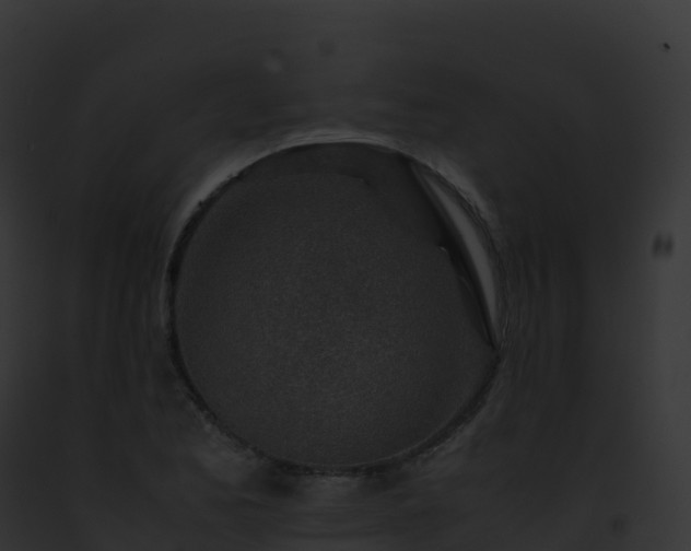 X0000093101173200710031453