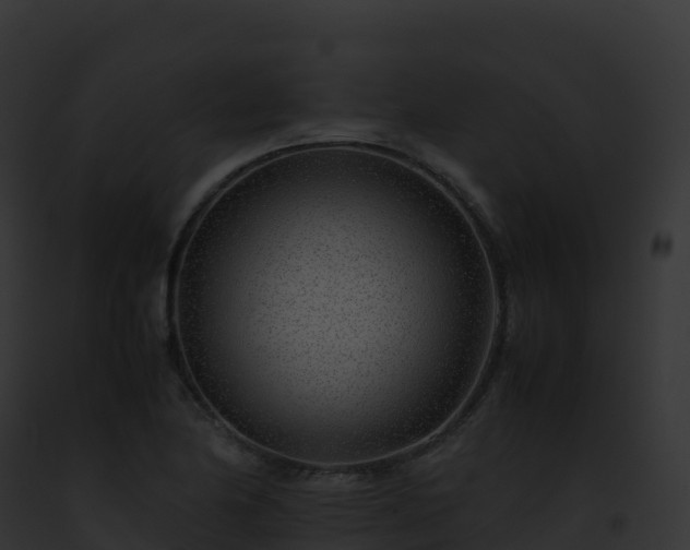 X0000093101174200710031453