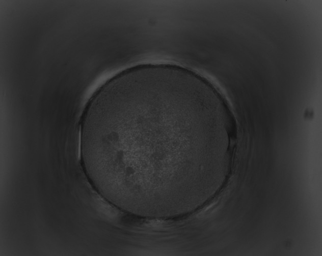 X0000093101175200710031453