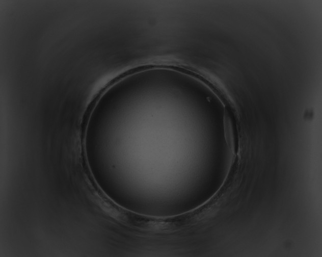 X0000093101176200710031453