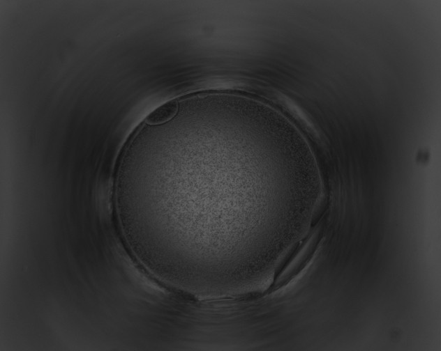 X0000093101178200710031453