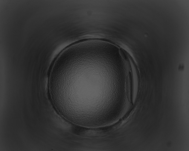 X0000093101179200710031453