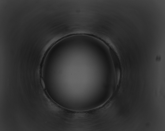 X0000093101181200710031453
