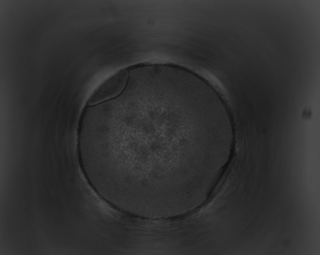 X0000093101183200710031452