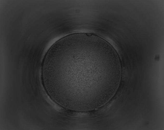 X0000093101187200710031452