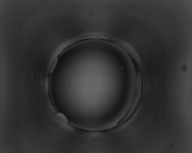 X0000093101188200710031452