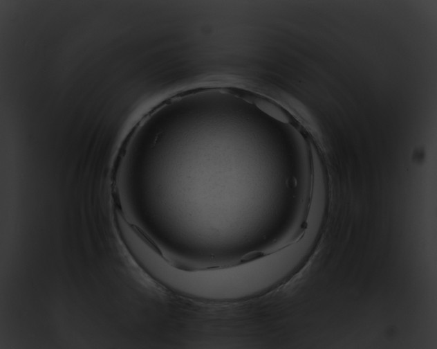 X0000093101192200710031452