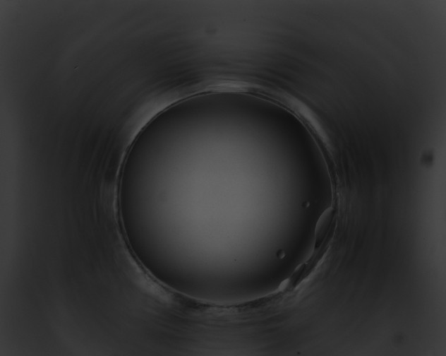 X0000093101194200710031452