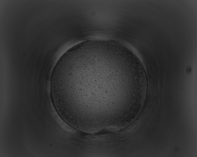 X0000093101195200710031452