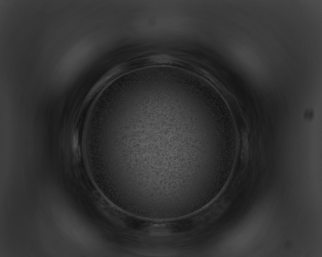 X0000093101198200710031452