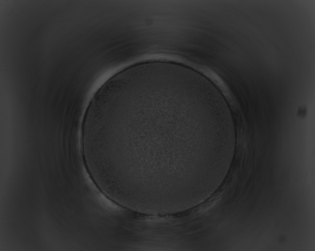 X0000093101199200710031452