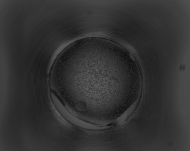 X0000093101200200710031452