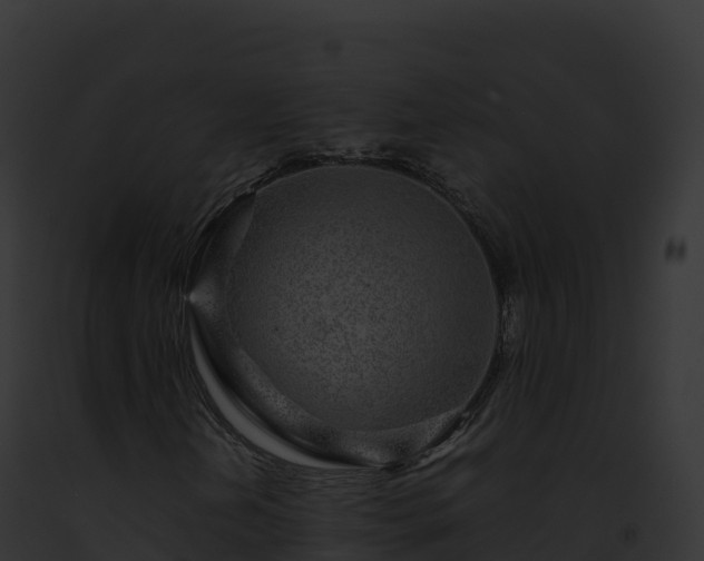 X0000093101202200710031452