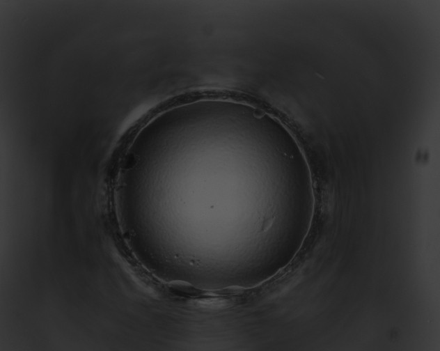 X0000093101208200710031452