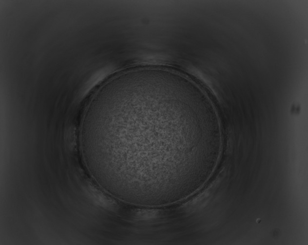 X0000093101211200710031452