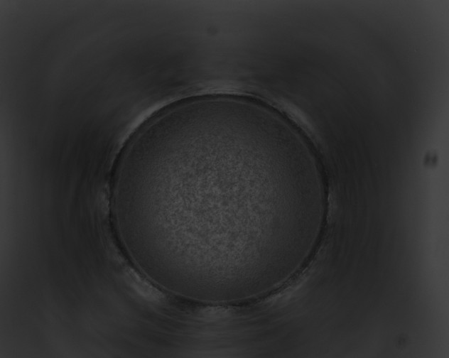 X0000093101212200710031452