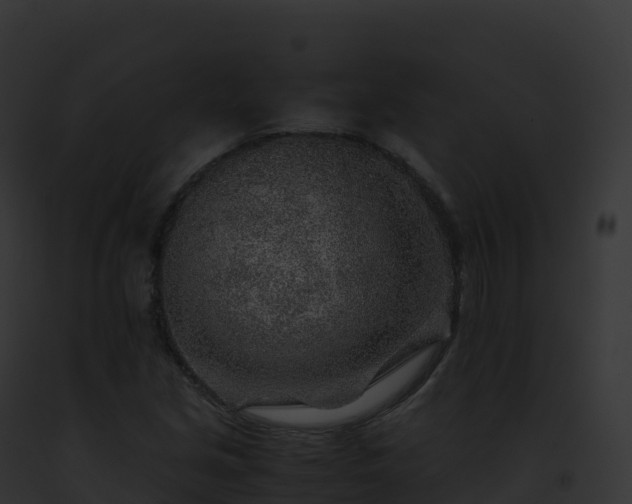 X0000093101213200710031452