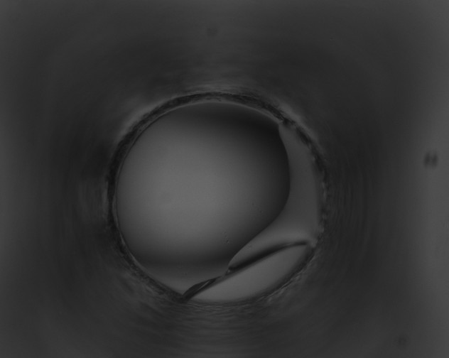 X0000093101214200710031452