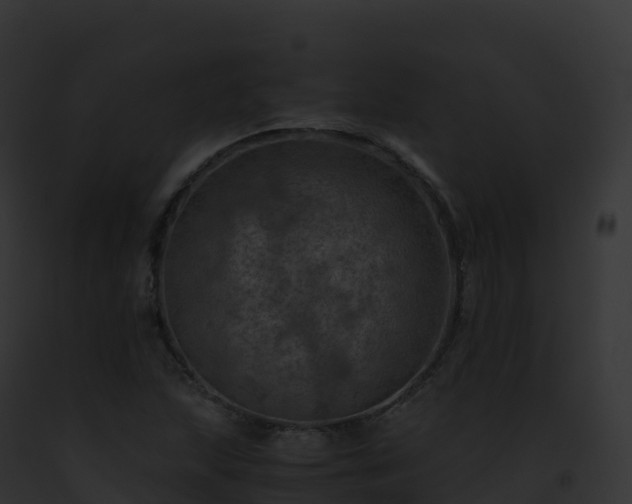 X0000093101215200710031452