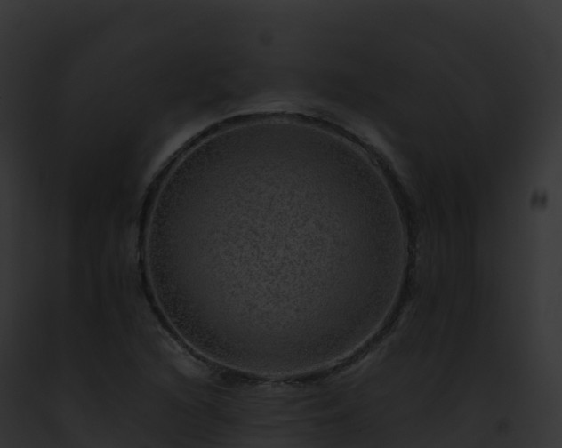 X0000093101216200710031452