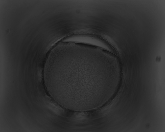 X0000093101217200710031452