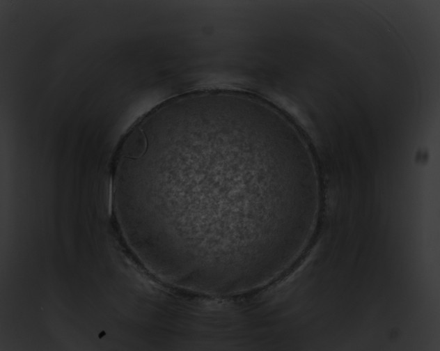X0000093101219200710031452