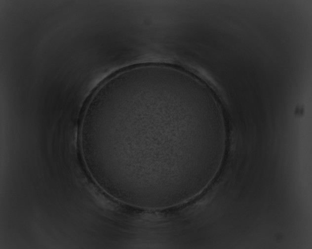 X0000093101220200710031452