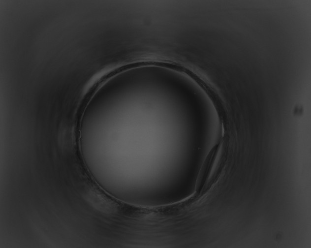 X0000093101222200710031452