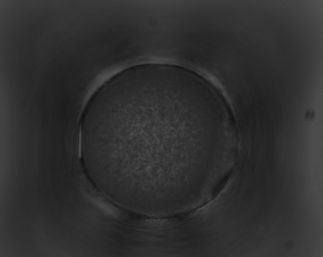 X0000093101223200710031452