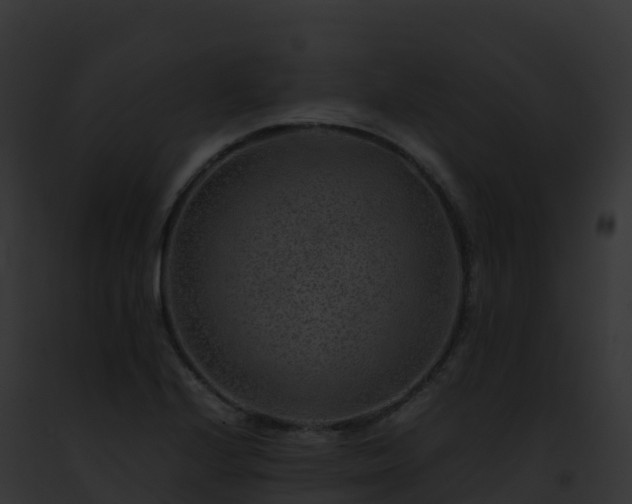 X0000093101224200710031452