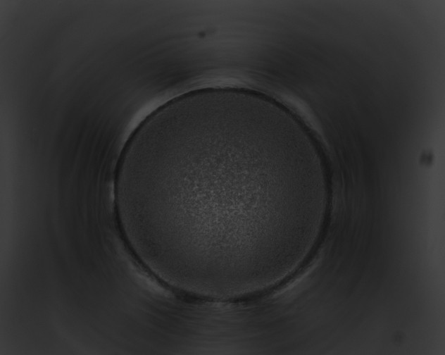X0000093101226200710031452