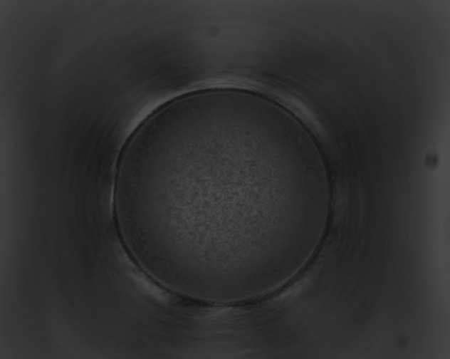 X0000093101228200710031452