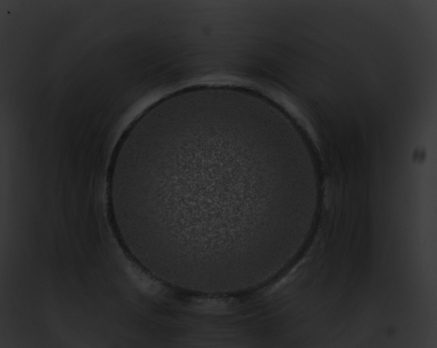X0000093101229200710031452