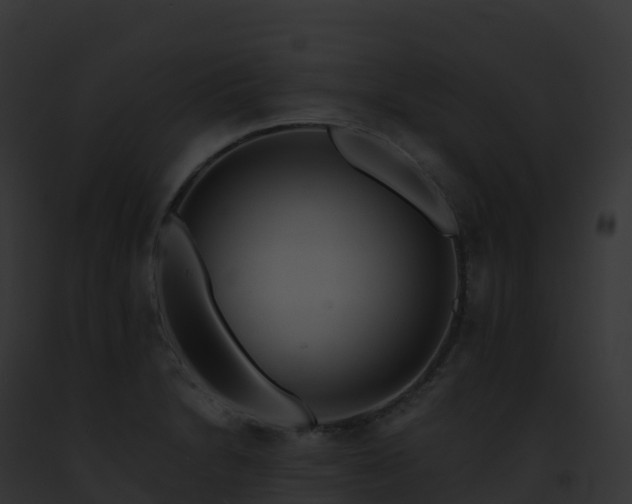 X0000093101230200710031452