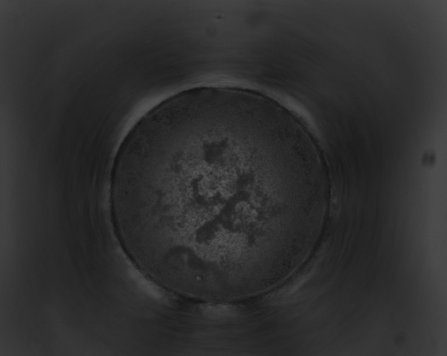 X0000093101231200710031452