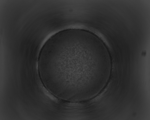 X0000093101232200710031452