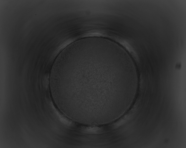 X0000093101233200710031452