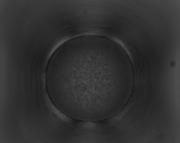 X0000093101235200710031452