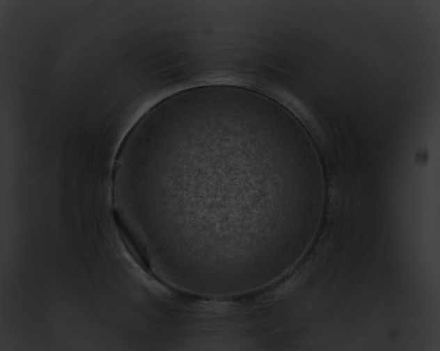 X0000093101236200710031452
