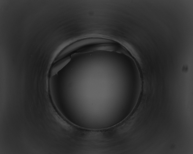 X0000093101238200710031452